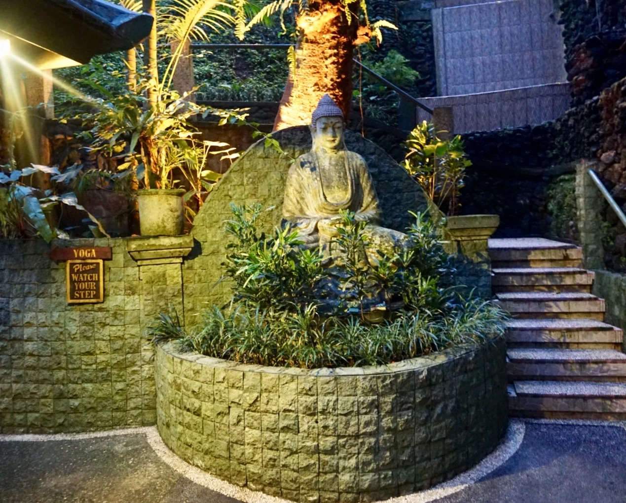 pic4.jpg
