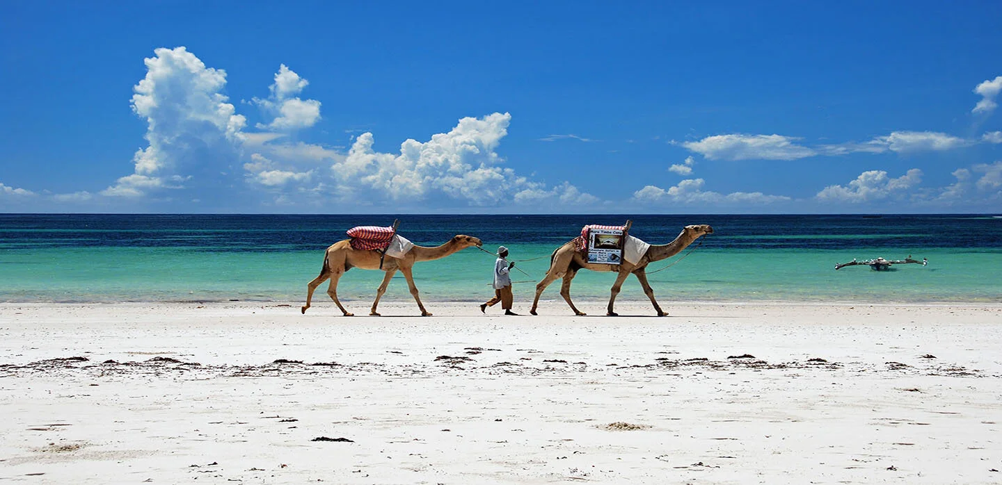 kenya18.jpg