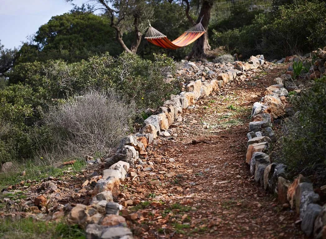 crete8.jpg