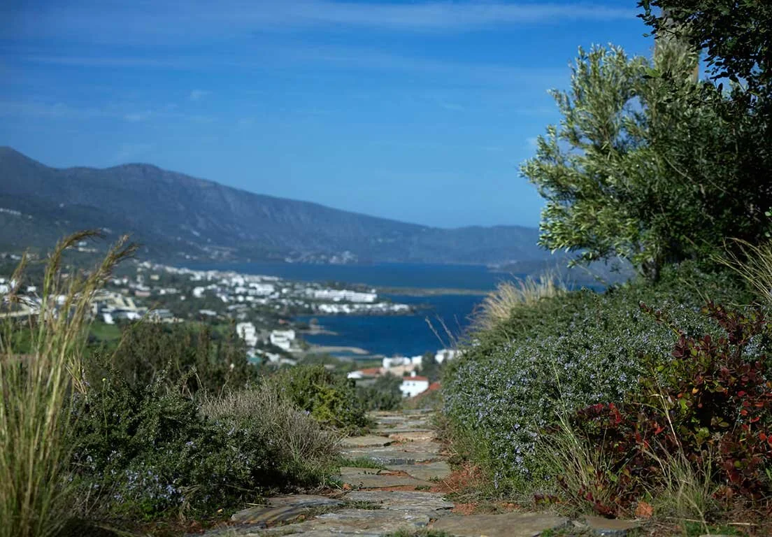 crete9.jpg