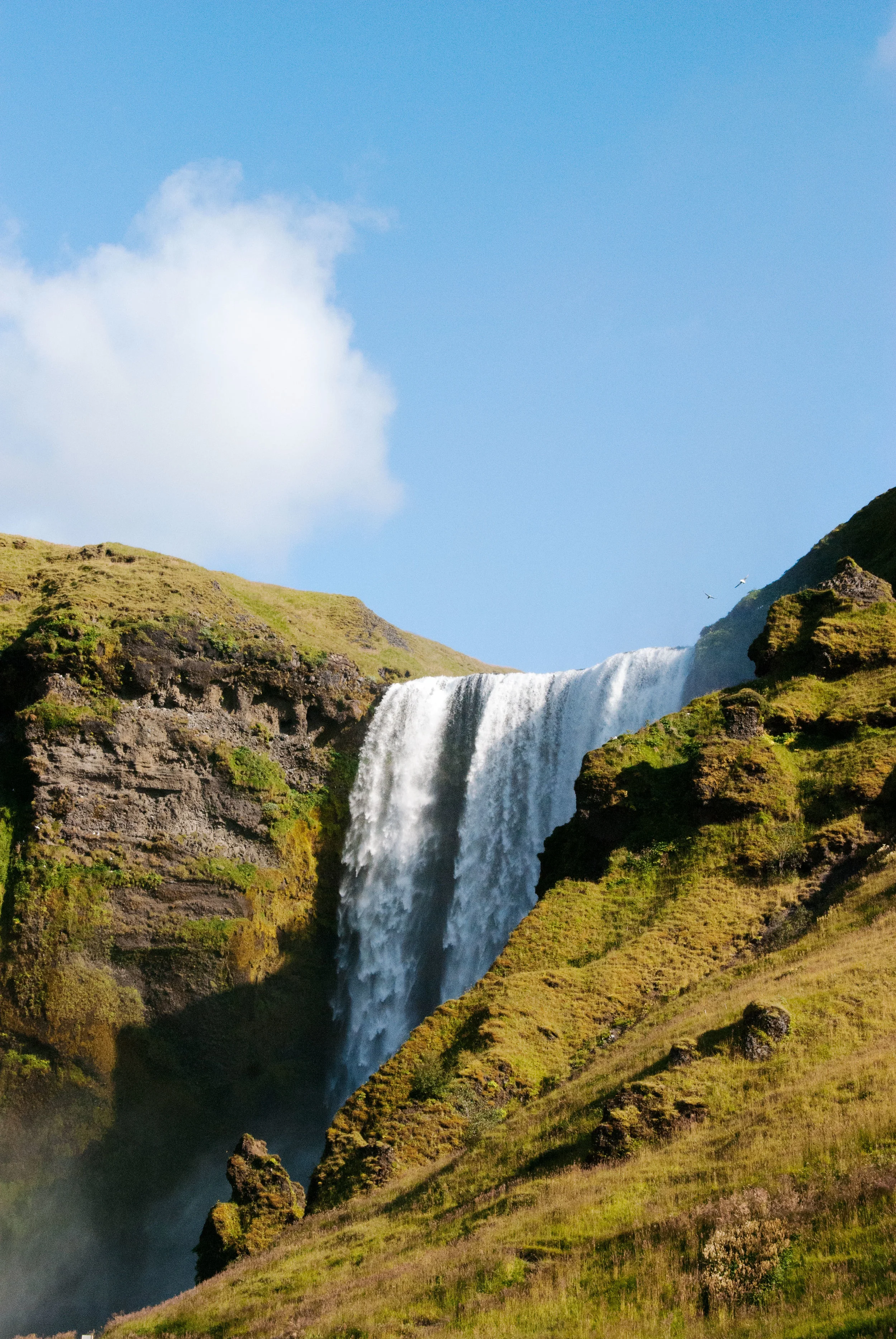 DSC_7109.jpg