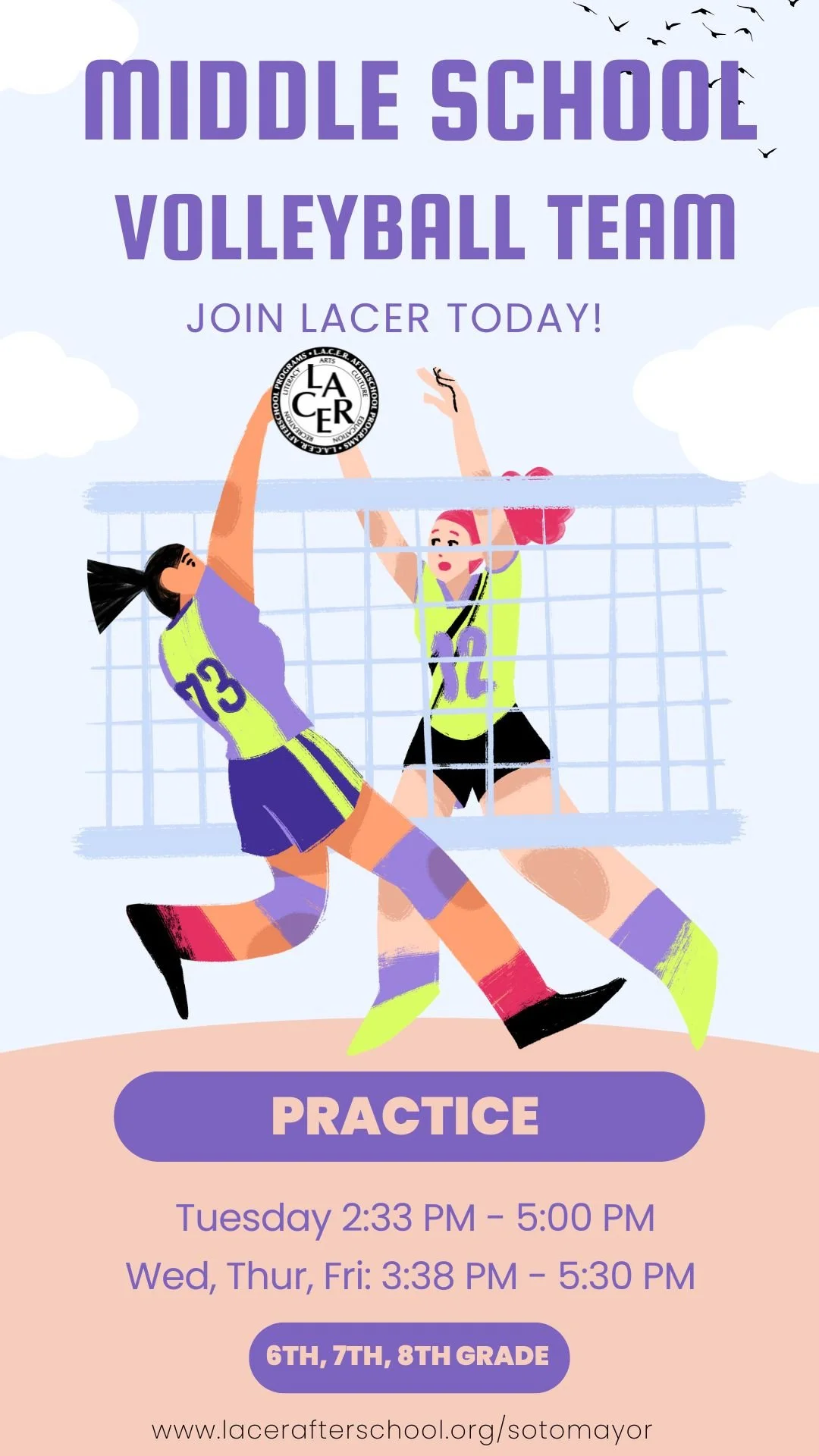 VOLLEYBALL_LACER.jpeg