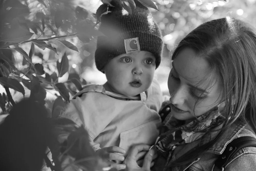 Apple Picking | Forever Fuller