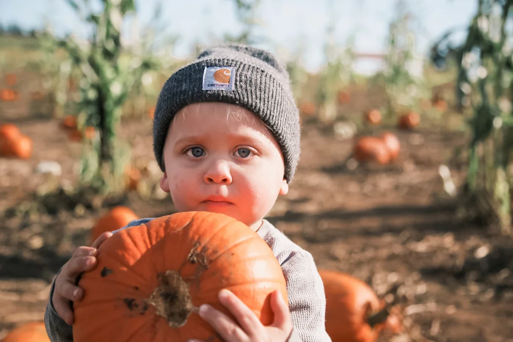 Pumpkin Patch | Forever Fuller