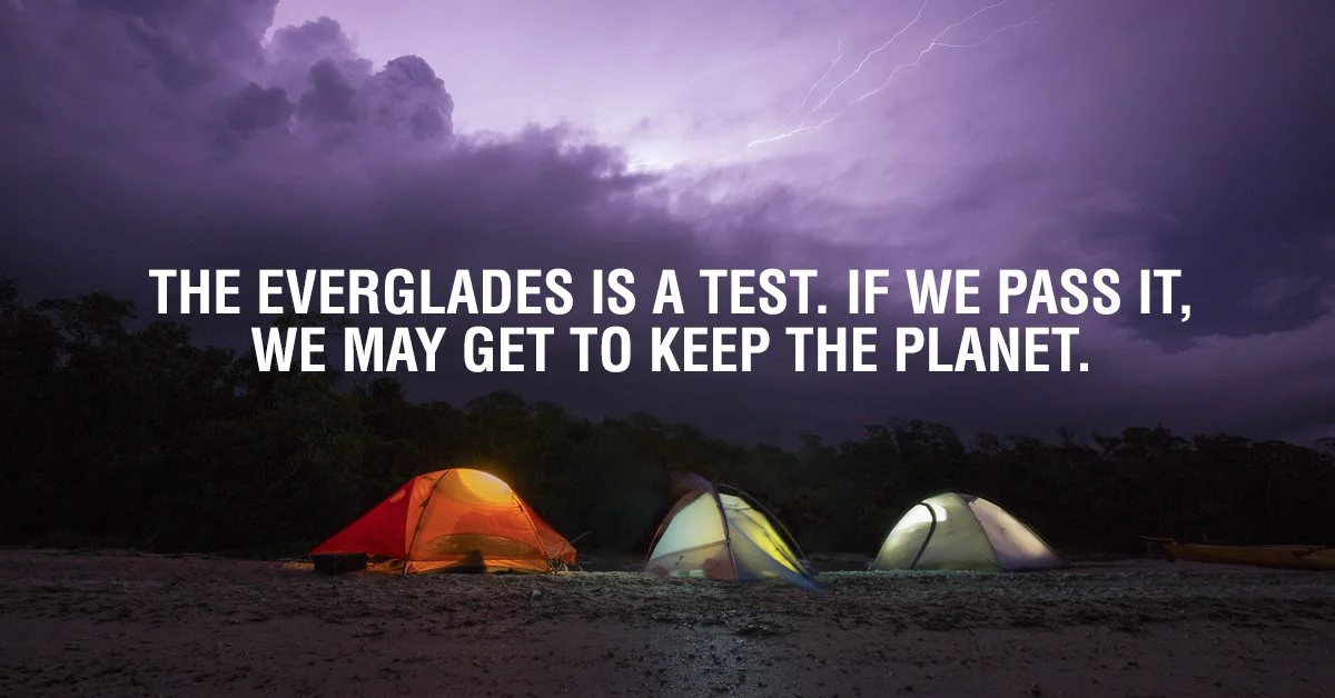 NON Everglades Graphic.jpg