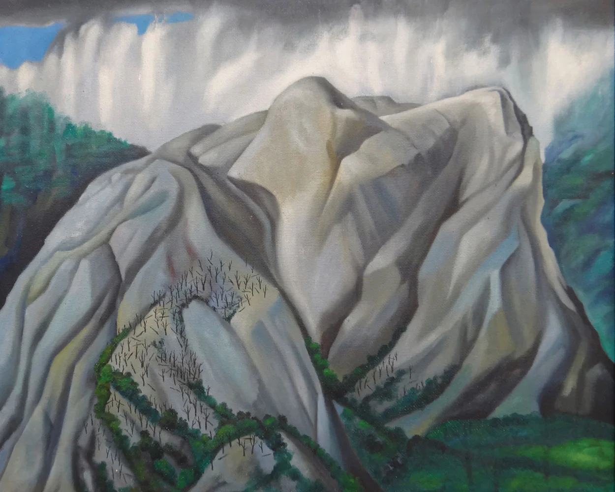 Leo BENSEMANN (New Zealander, b.1912, d.1986), After Rain, Takaka , 1971, oil on canvas board. Collection of The Suter Art Gallery Te Aratoi o Whakatū: purchased, 2016