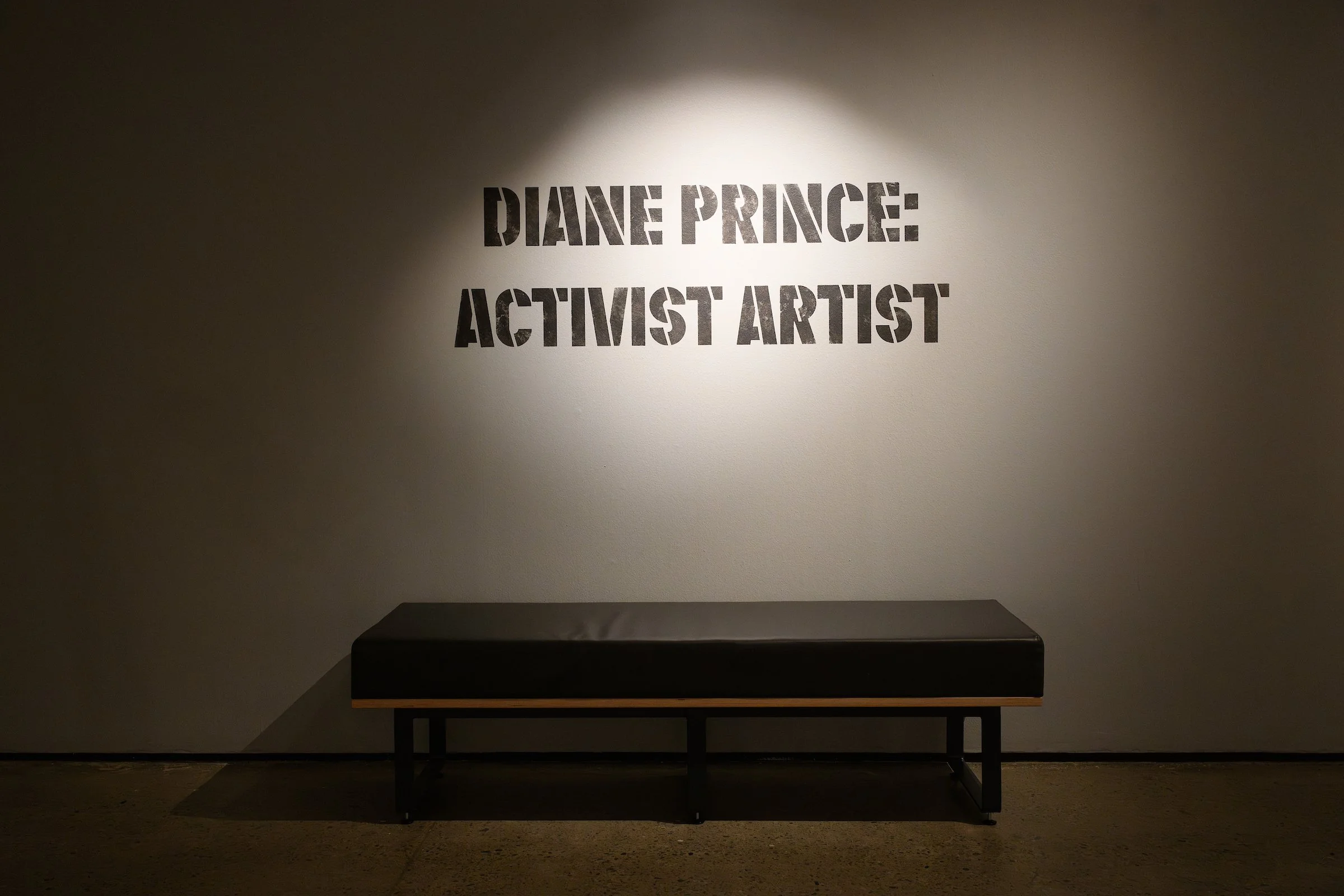 Diane Prince: Activist Artist