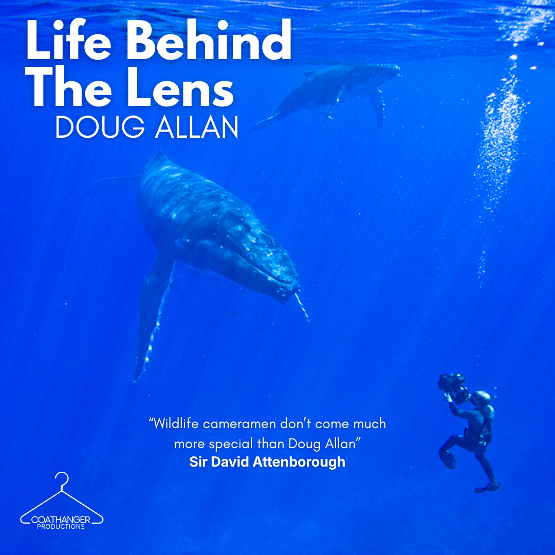 Life Behind The Lens 