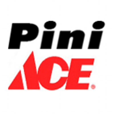 pini_twitter_logo_new_400x400.png