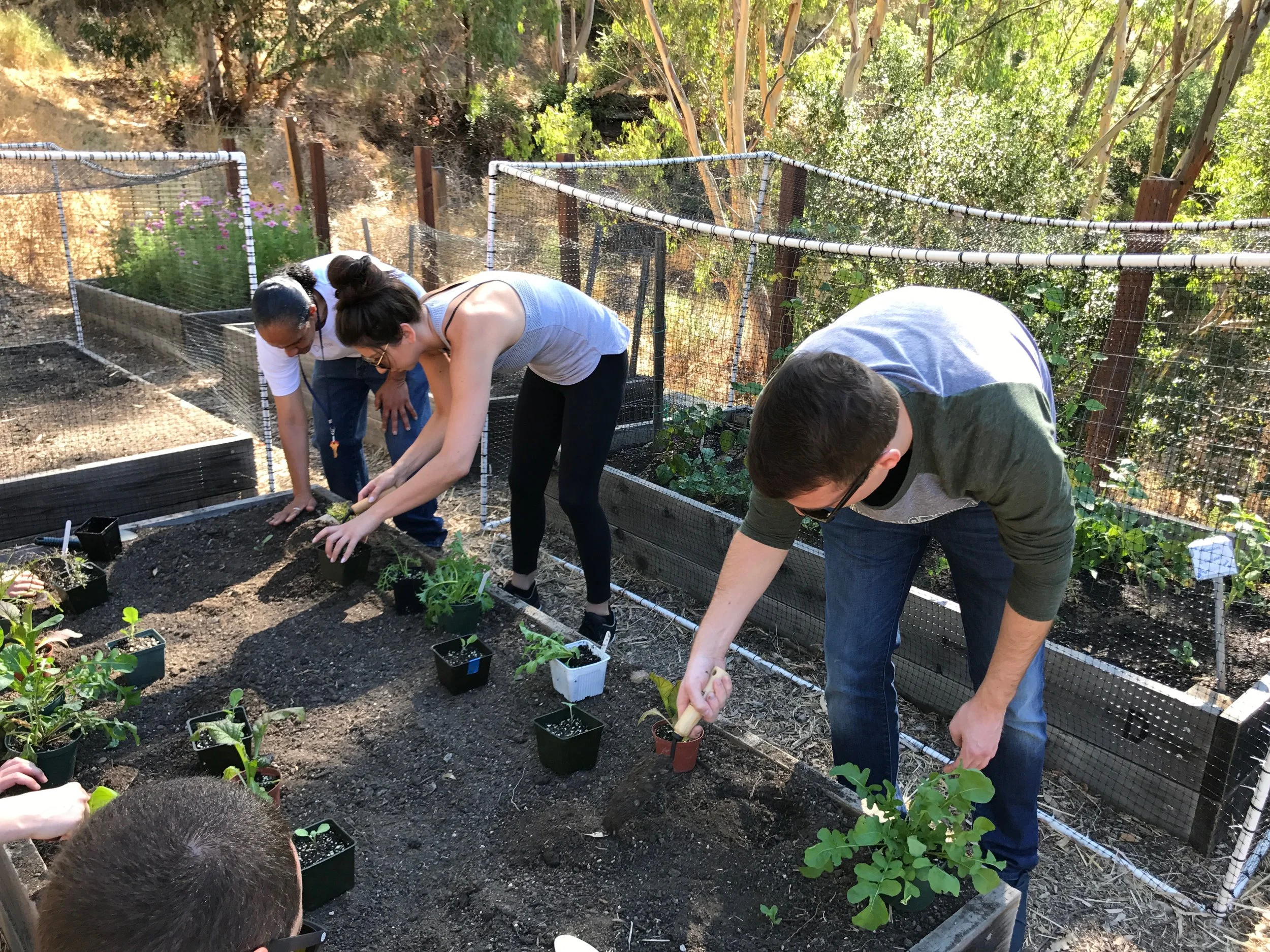 Darene teaching a group how to plant cauliflower and salad greens.