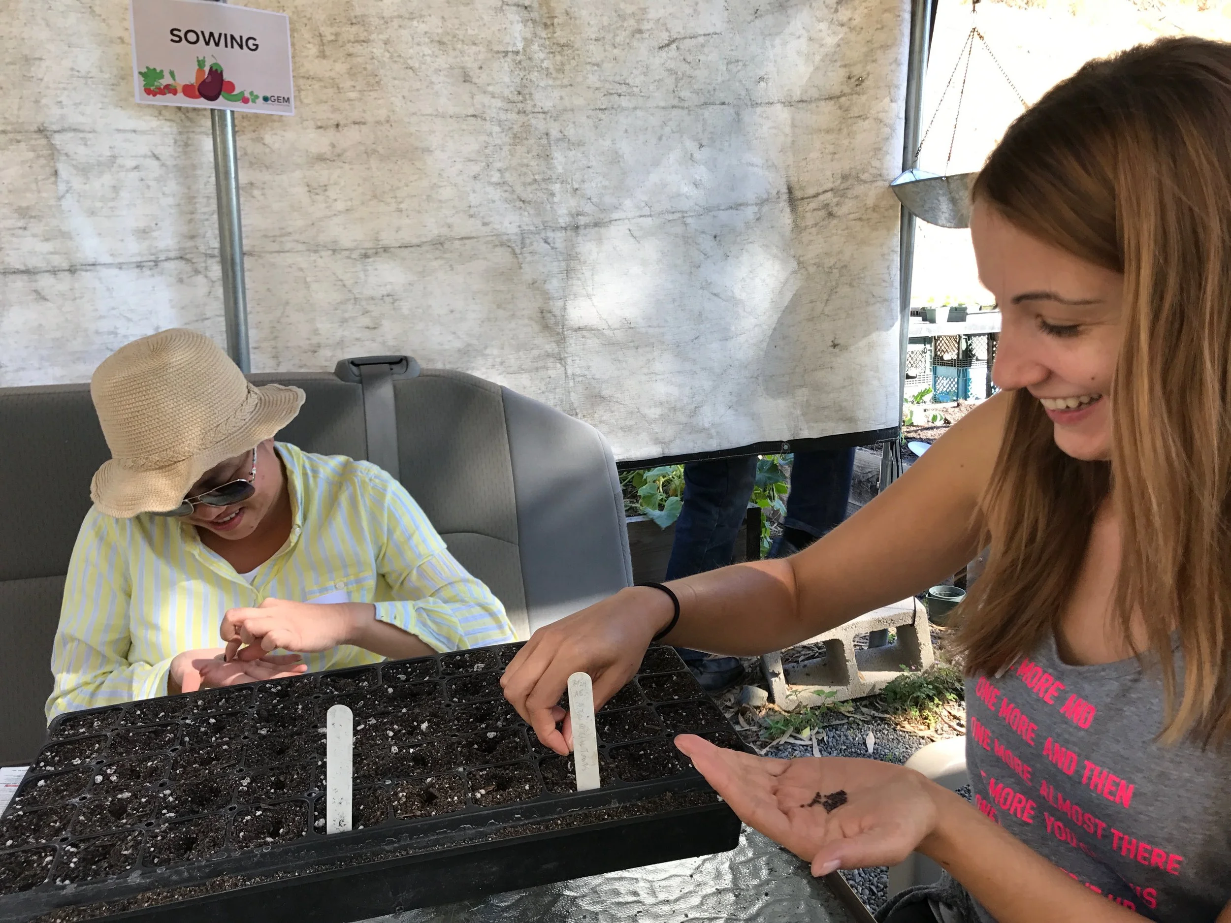 Jenny sowing bok choy seeds.