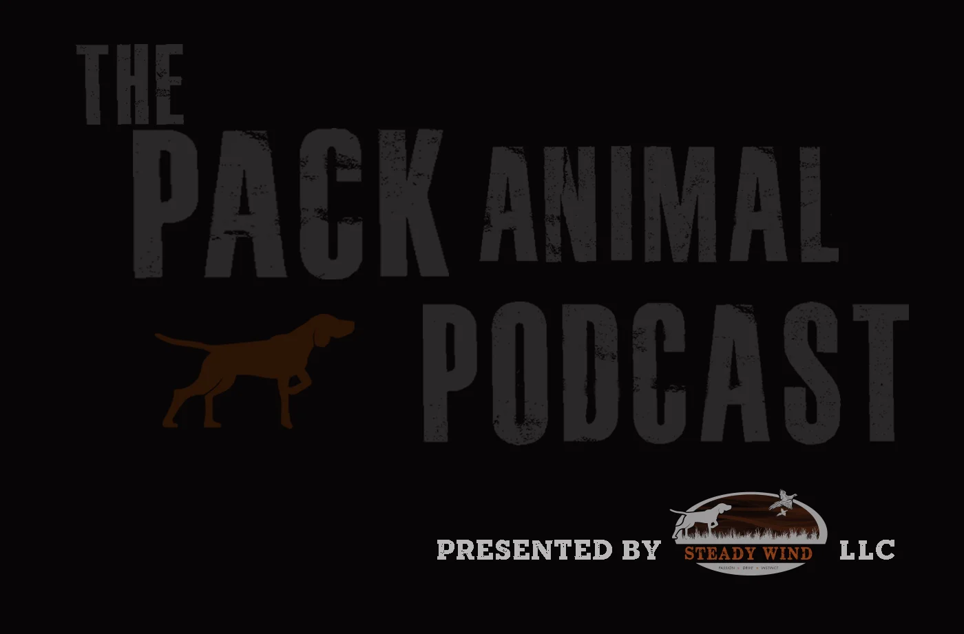 Inaugural Episode! episode artwork