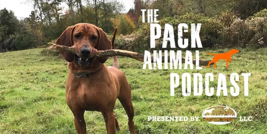 The Story of Big Red with Guest Kimberly Cooper