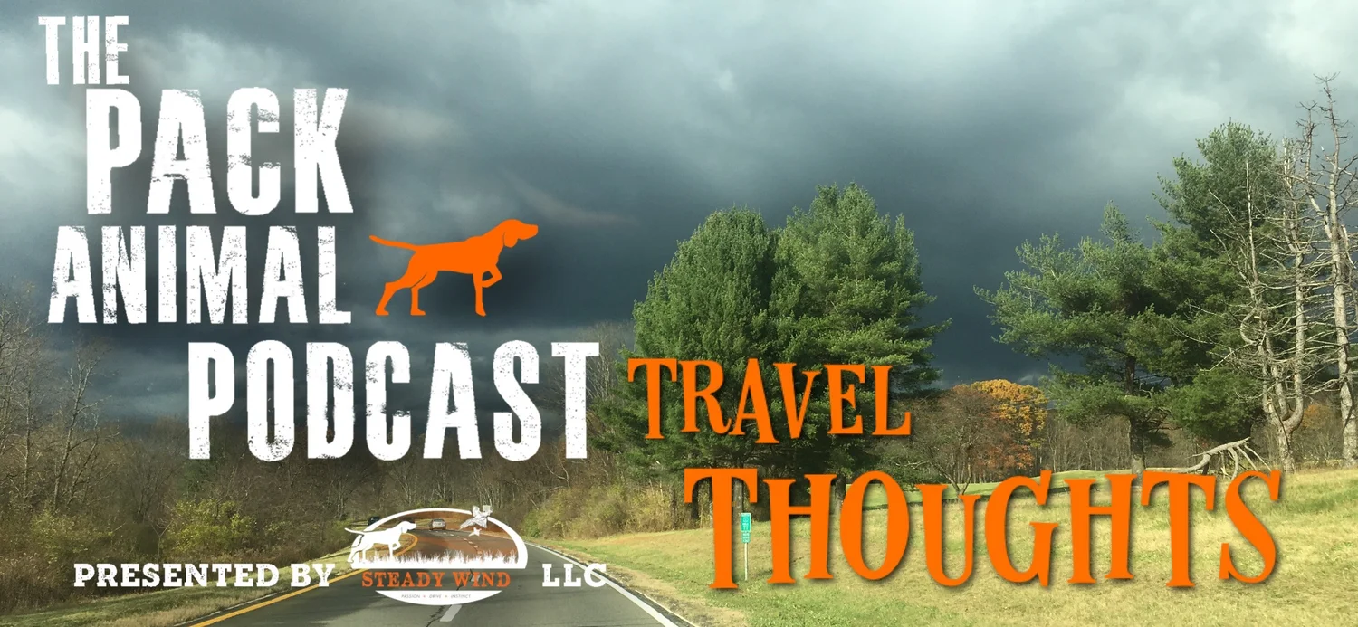 Travel Thoughts episode artwork