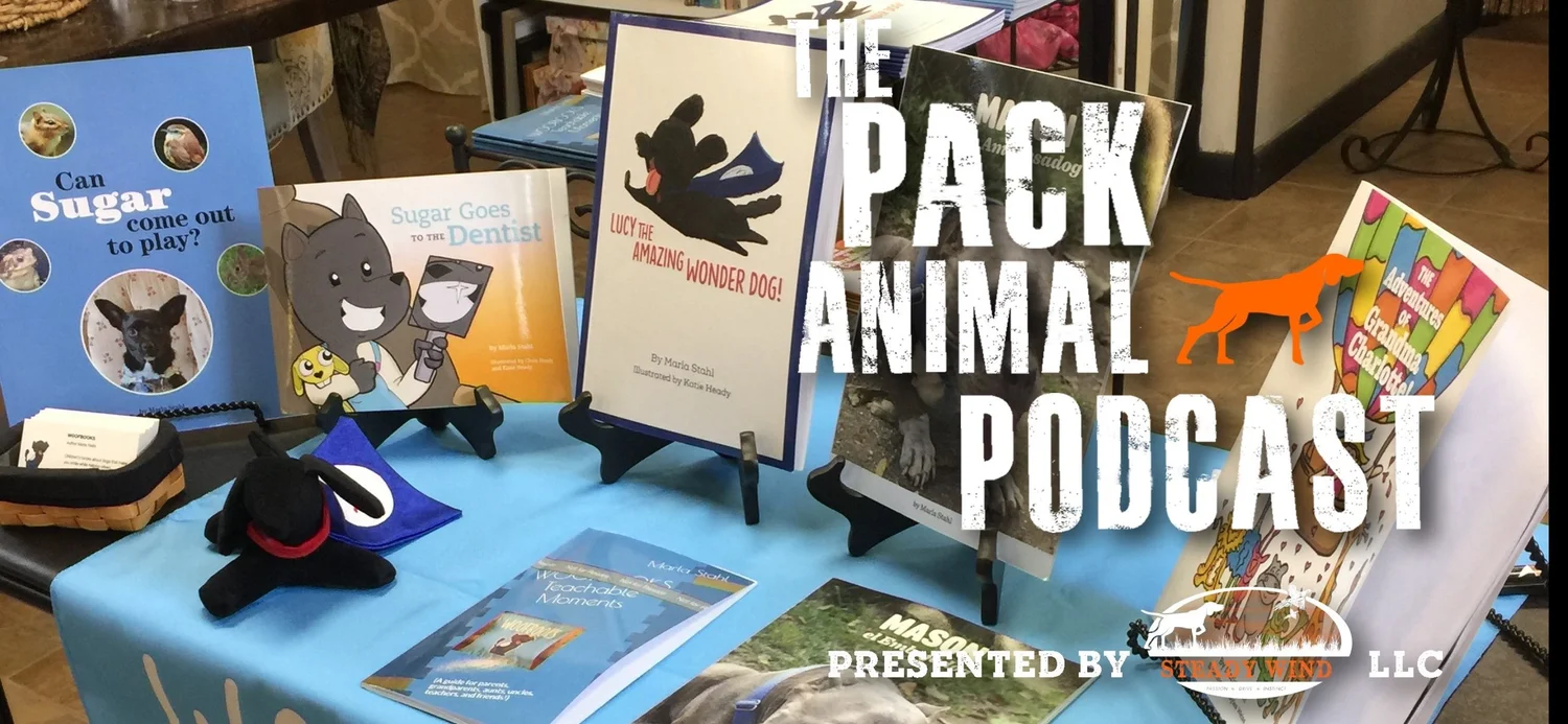Special Guest Author Marla Stahl