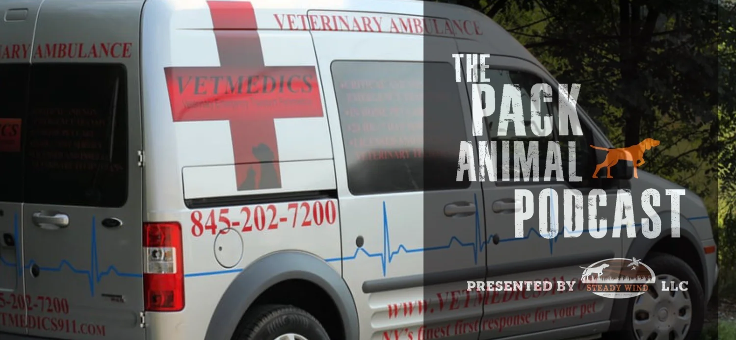 Dog Parks, Perilous or Precious episode artwork
