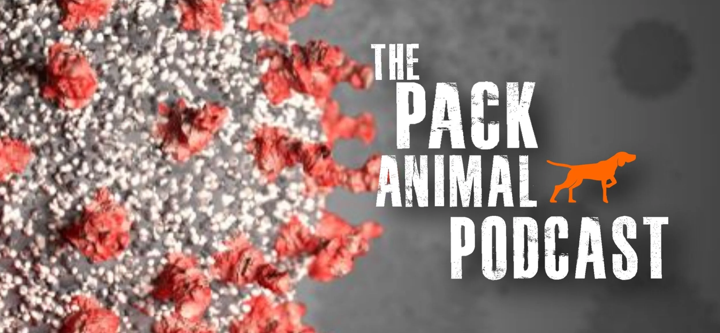 COVID 19, Quarantine Cabin Fever