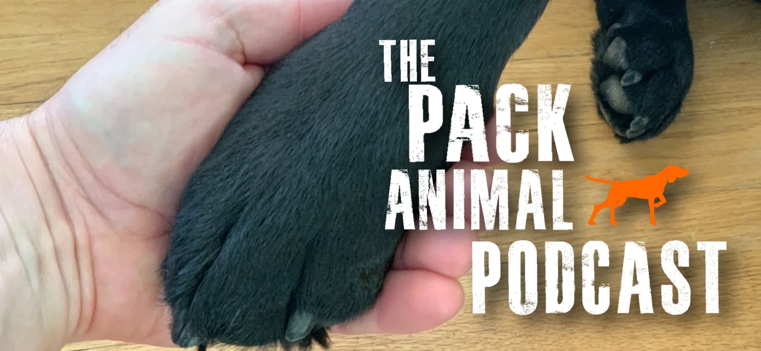 The Pack Animal Podcast