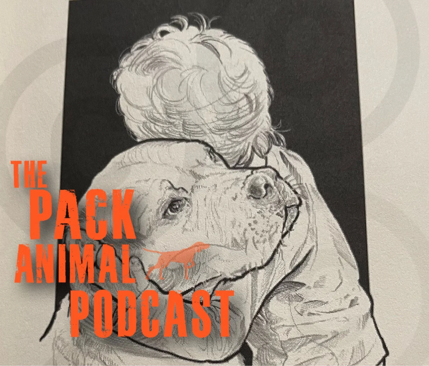 A Deeper Level of Understanding Your Dog episode artwork