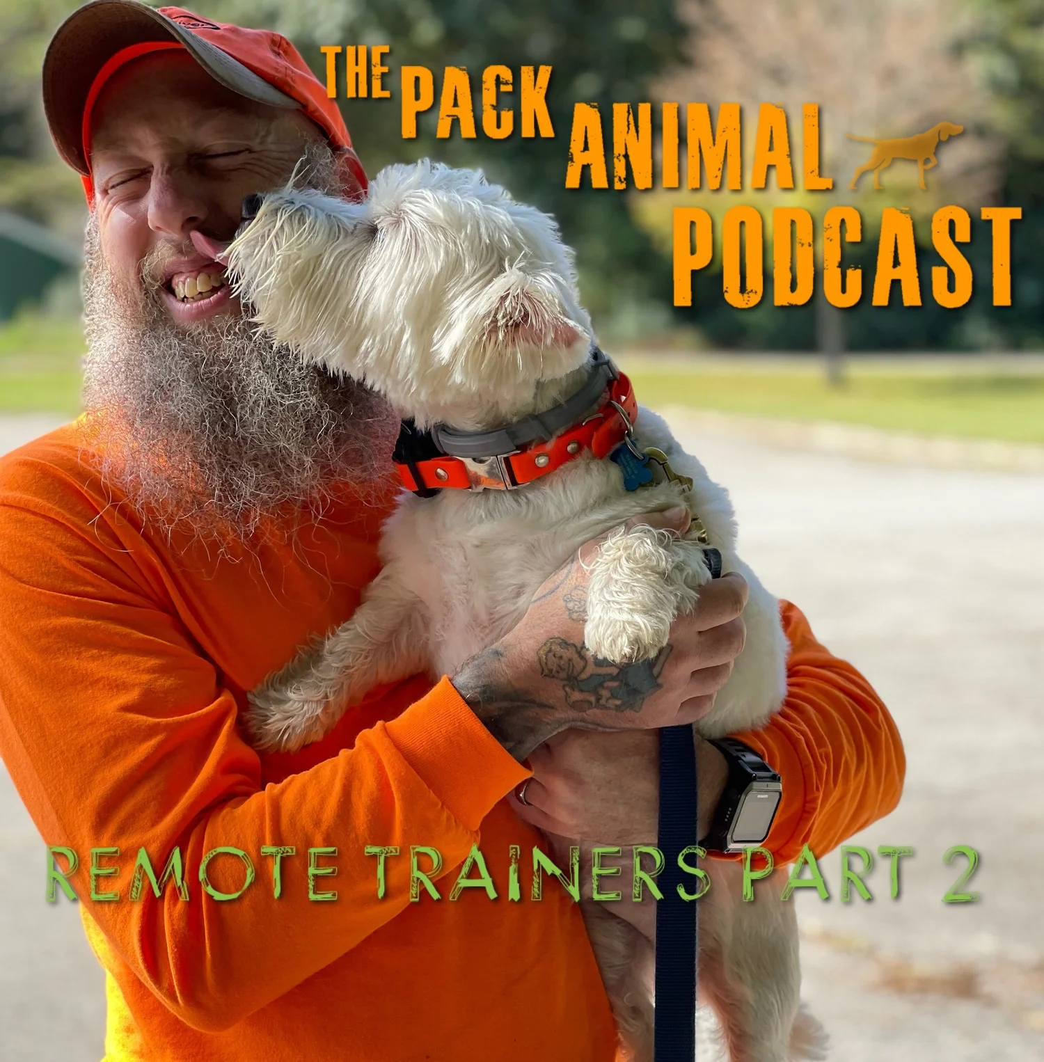 Remote Trainers Part 2 episode artwork