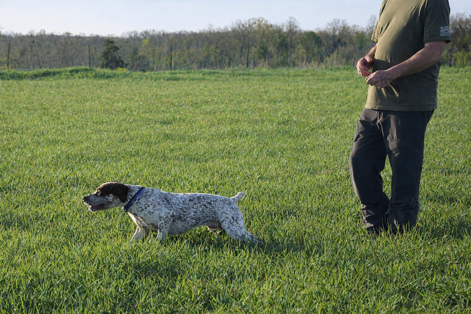 ChatGPT Image Feb 18, 2026, 04_21_40 PM.png