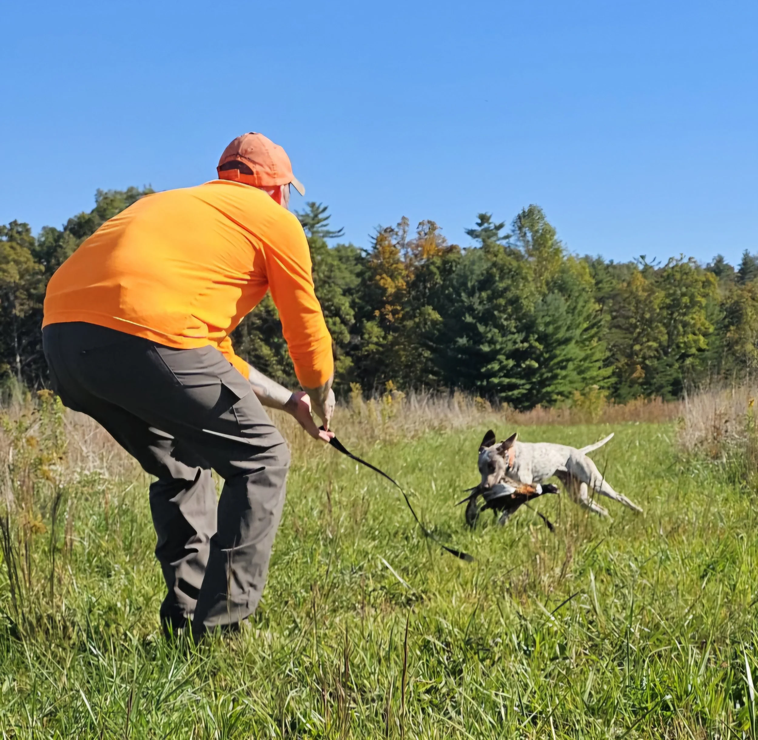 IMG_20241017_161444 (19).jpg