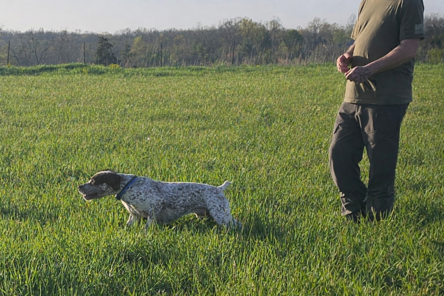 ChatGPT Image Feb 16, 2026, 05_25_37 PM.png