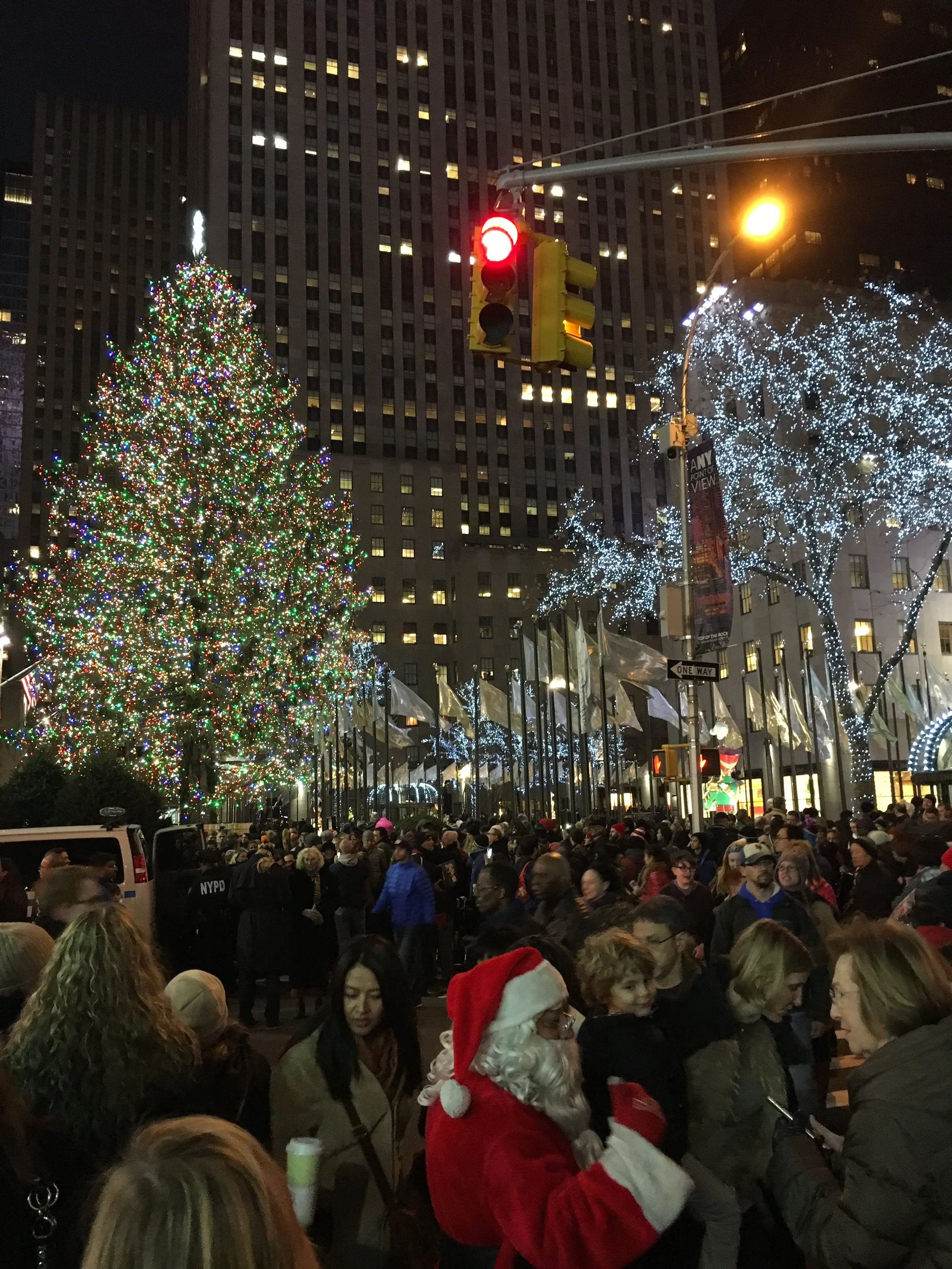 The famous Christmas tree at Rockefeller Centre with a gazillion tourists {and Santa!}