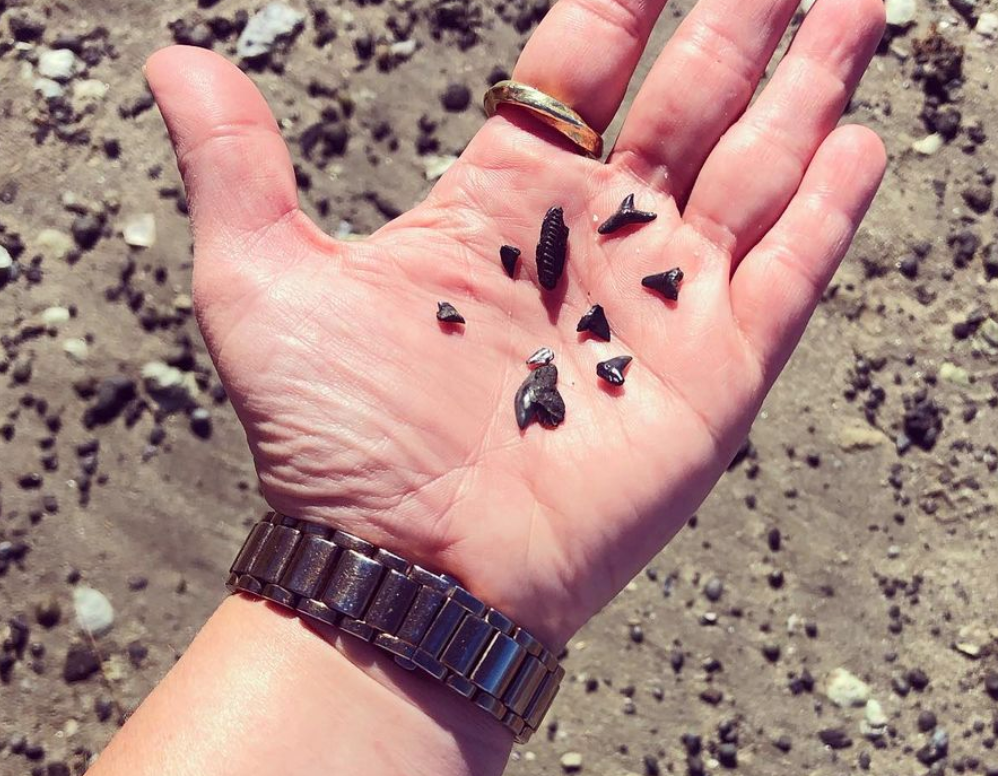 Sifting and Sorting (and Quitting)
