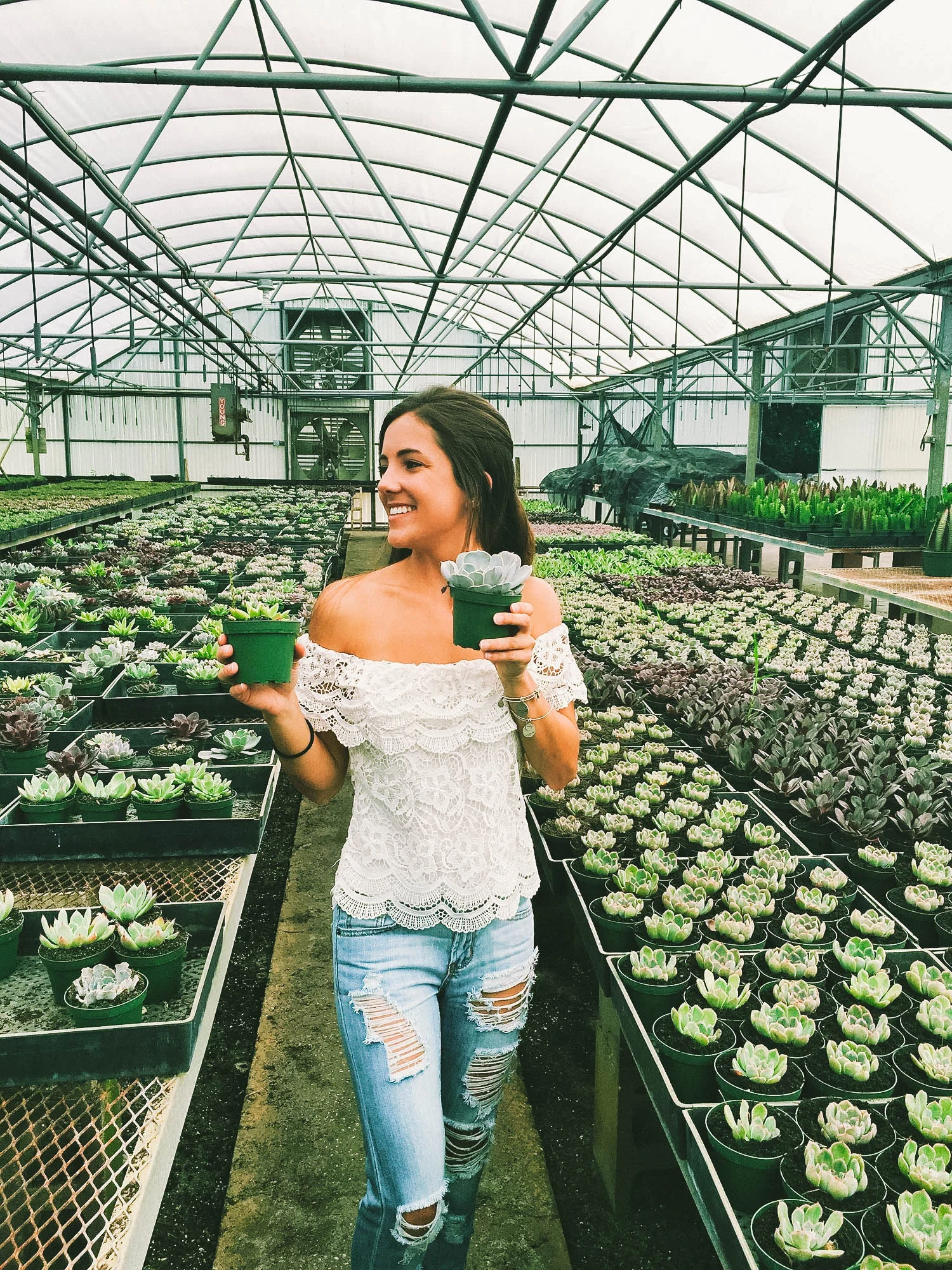 succulent+shopping.jpg