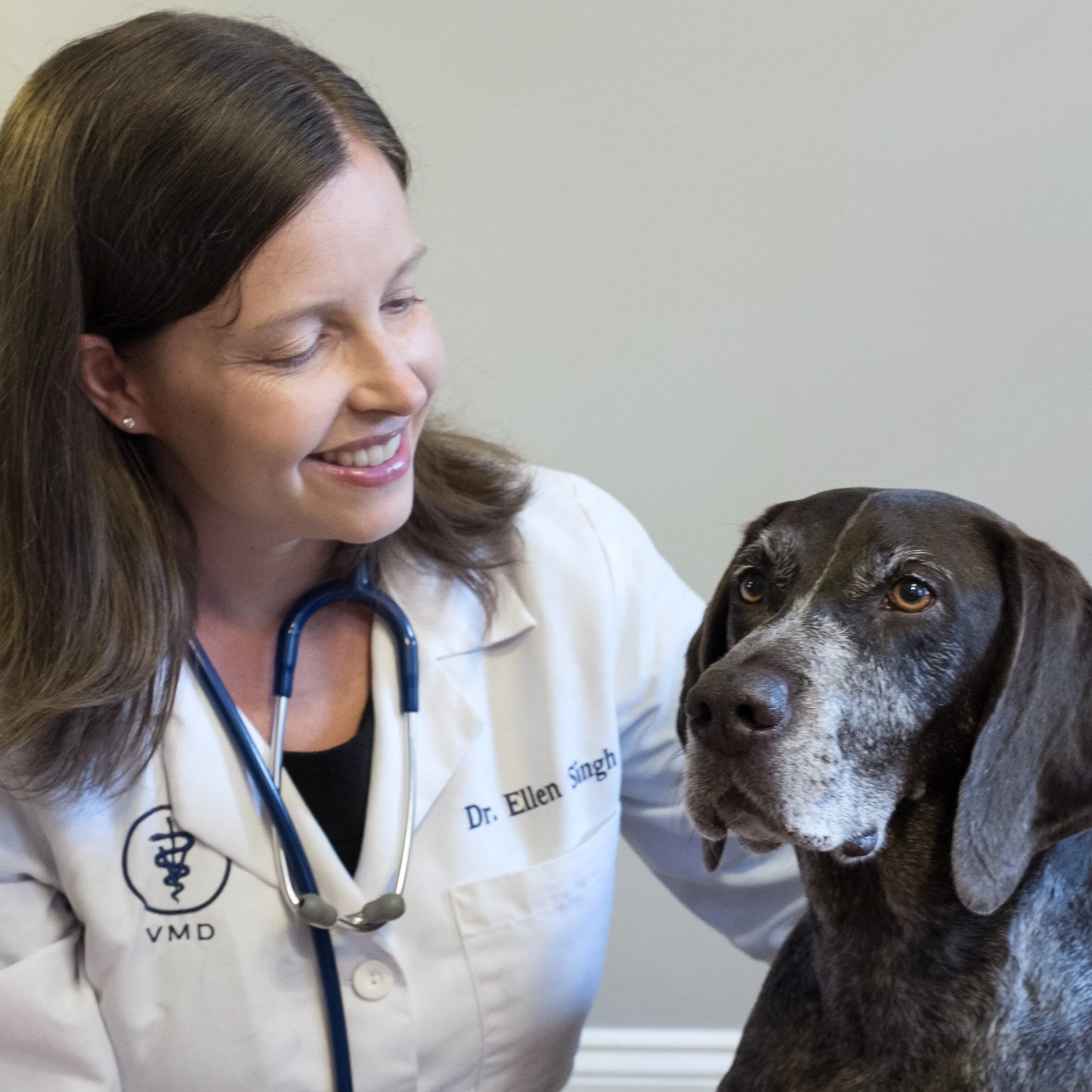 brooklyn emergency vet