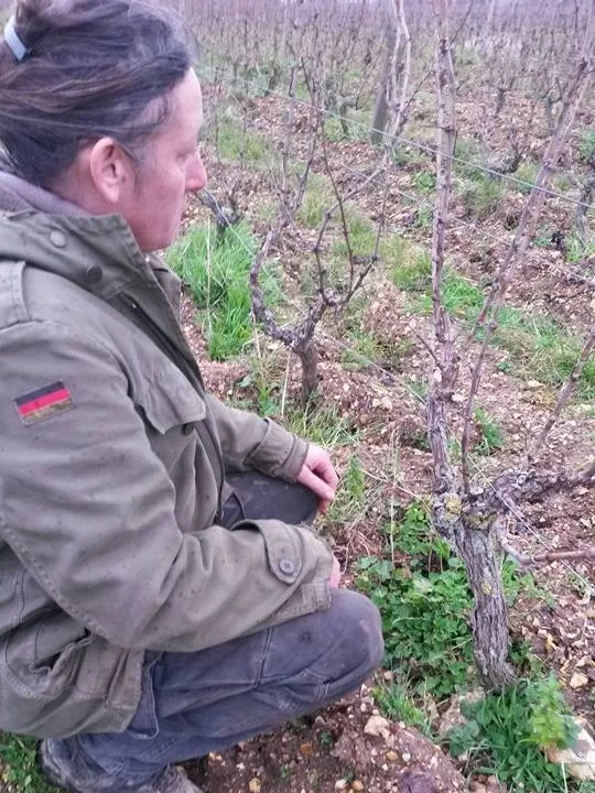 Anne in wineyard 2.jpg