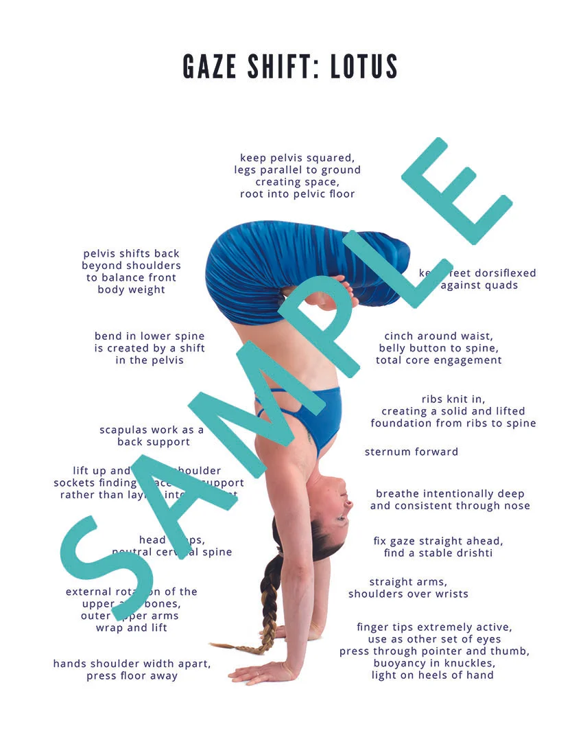 SAMPLEhandstandflashcards.jpg