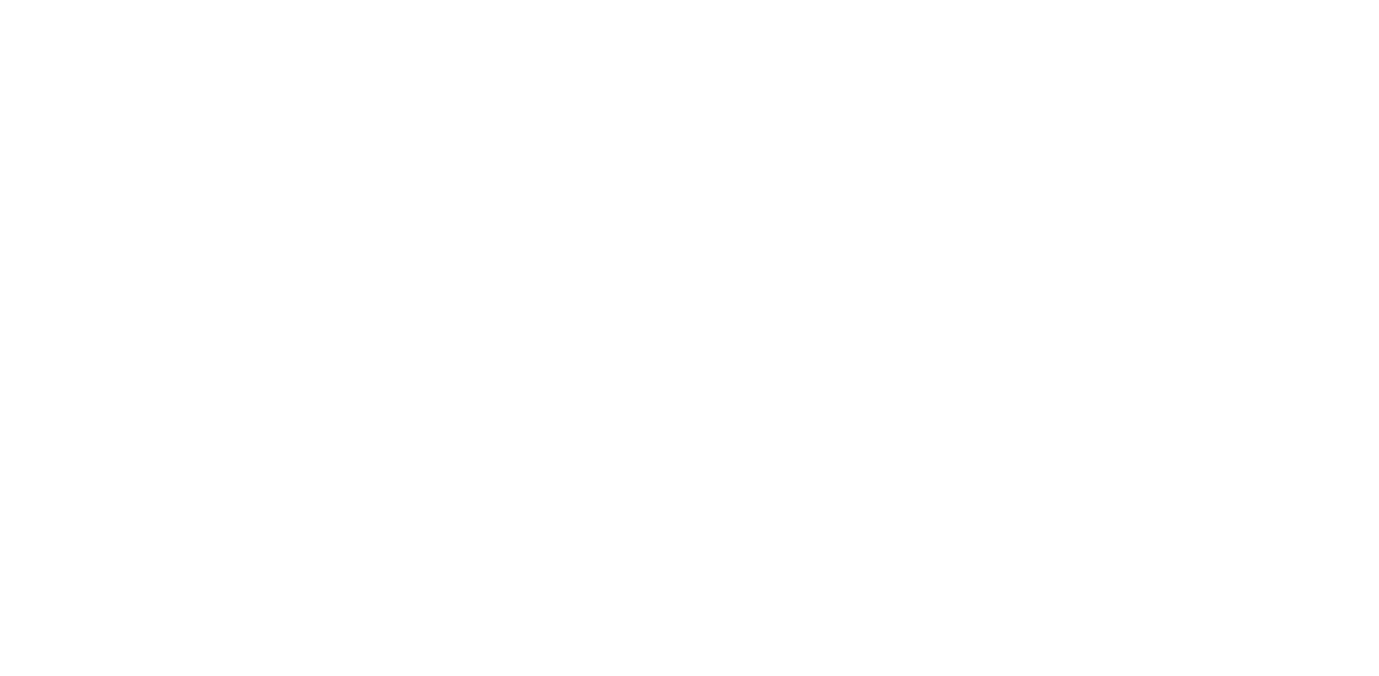 AShoemakerReview.png