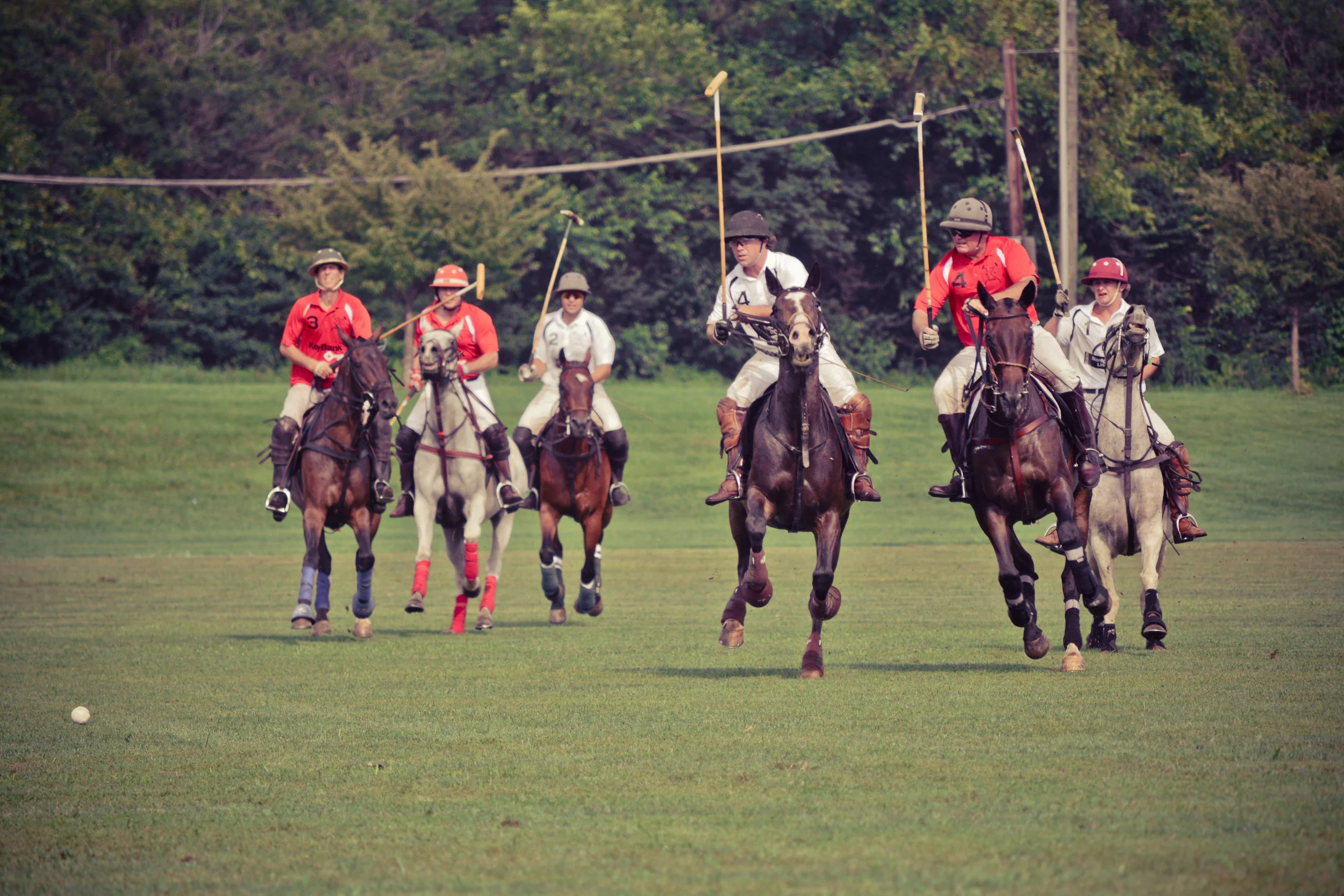 Polo For Babies 2015-0263.jpg