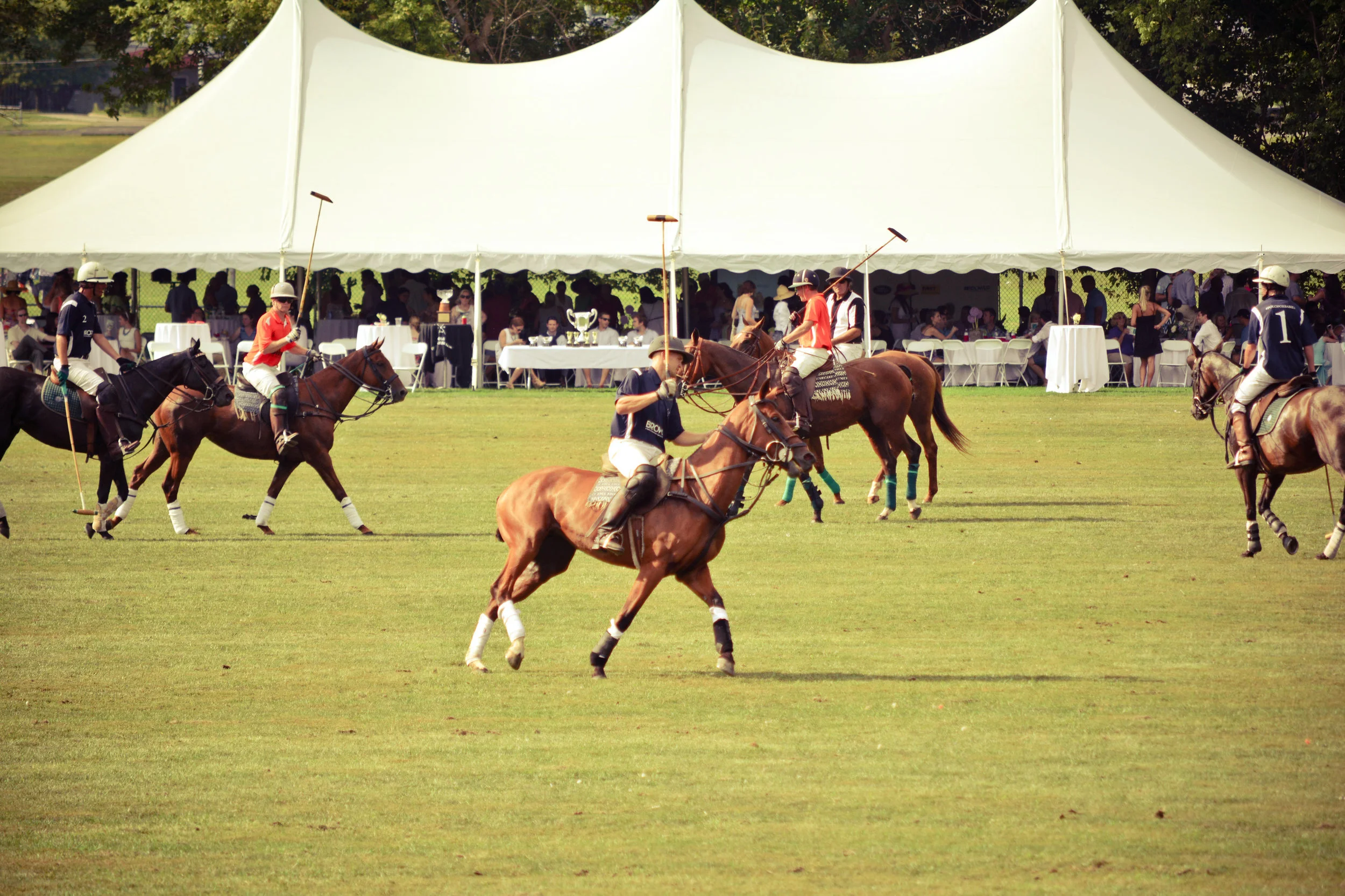 poloforbabiesgallery-0246.jpg