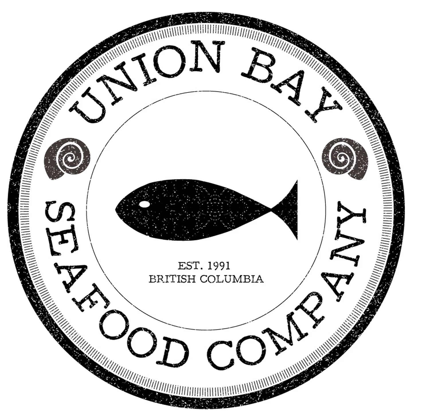 Logo & Branding — Tidal Front Media