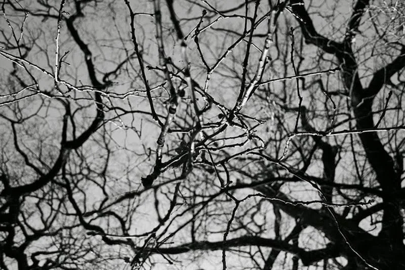 Neuroplasticity and the Feldenkrais Method