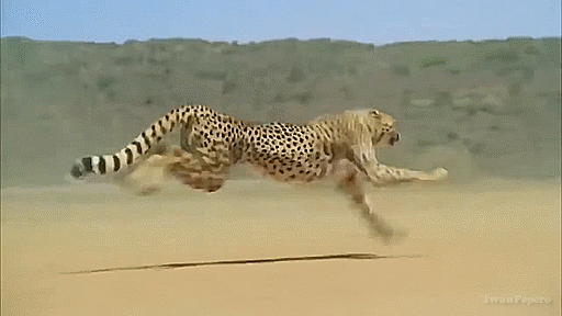 The principles of easy action