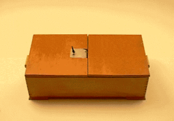 tumblr_lgf87dgLGc1qdaaw6o1_250.gif