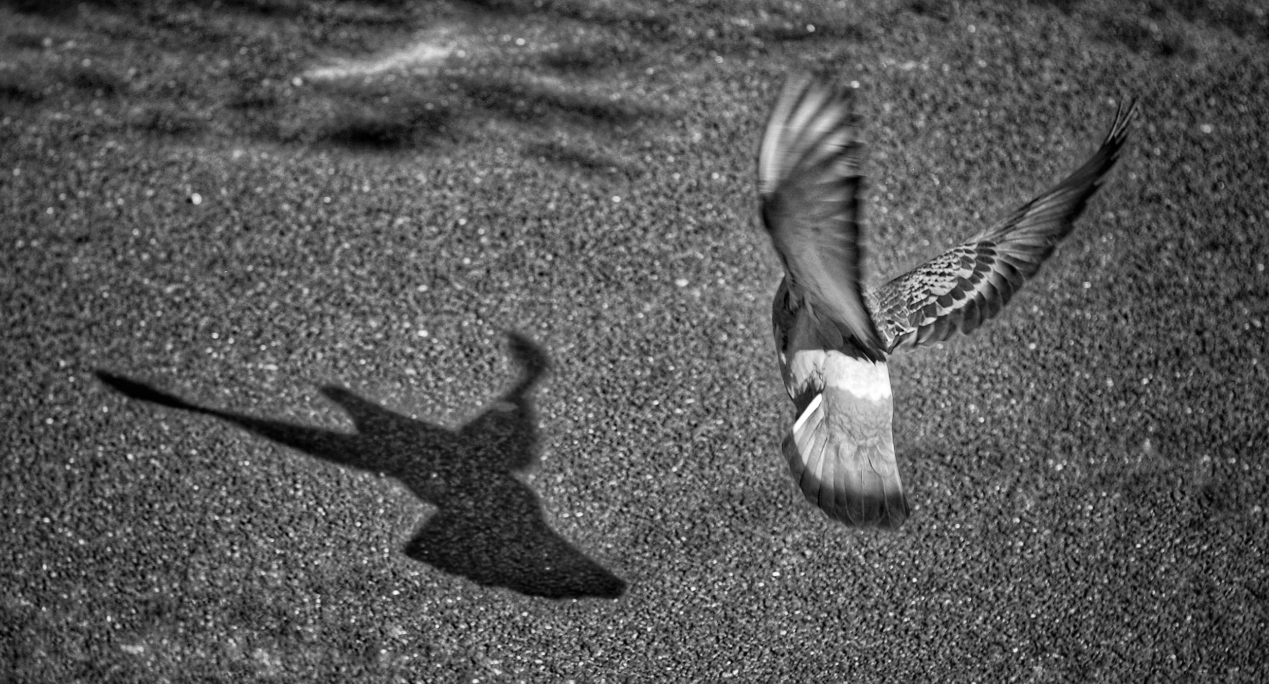 The Central Limb 6 - How the side supports the other