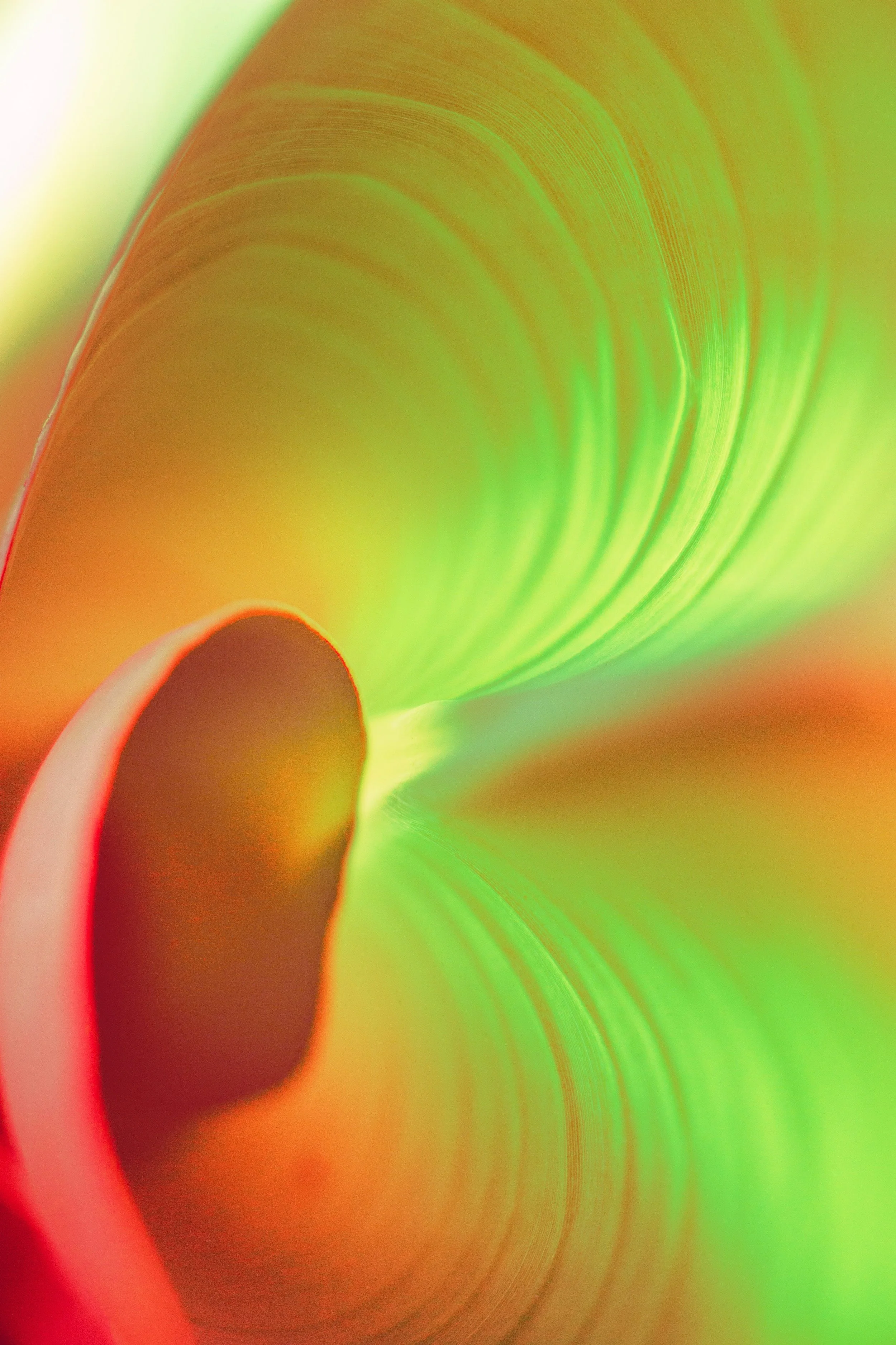 The Shape of Sound 3 - The vestibulo-ocular reflex in balance