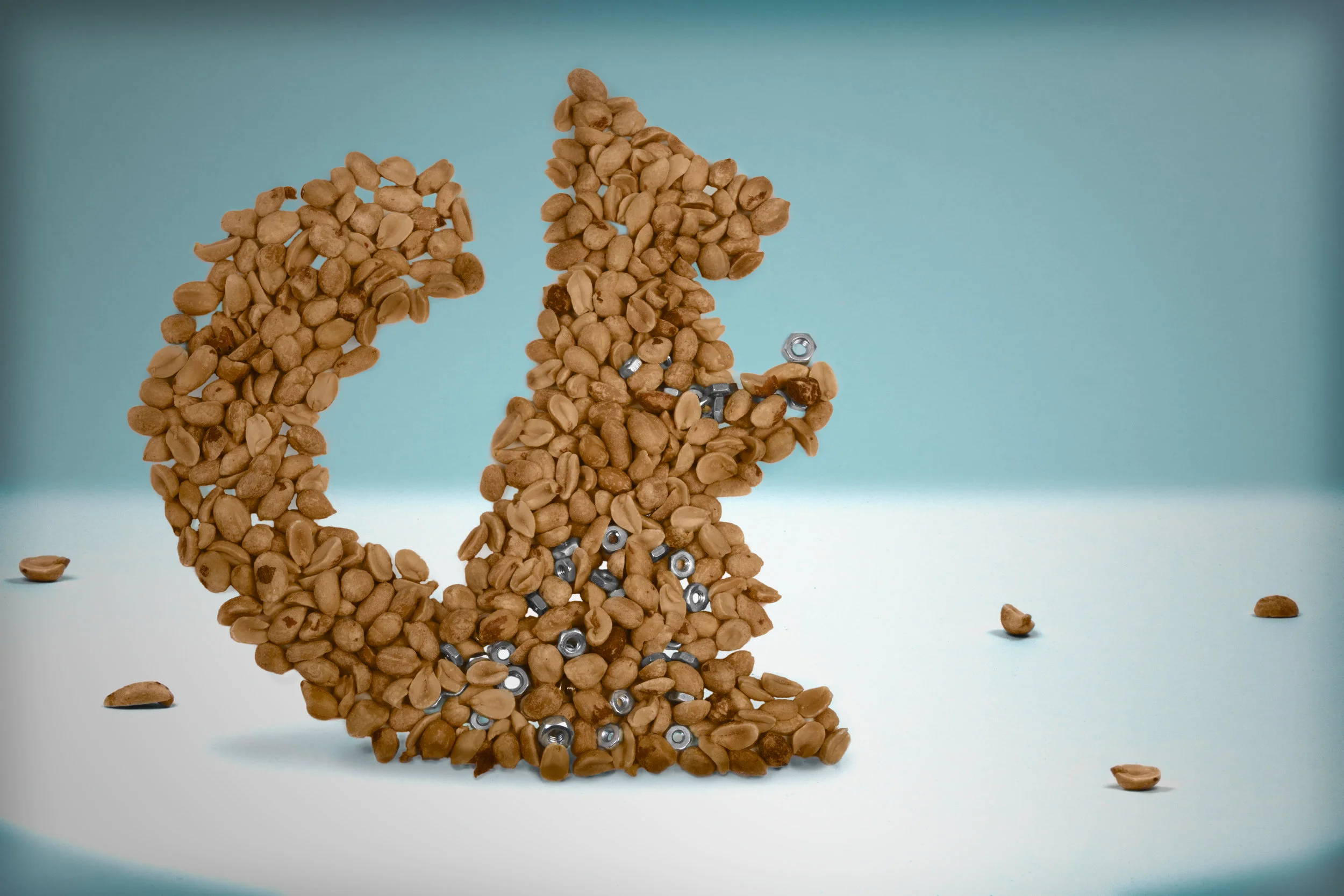 Nuts_2.jpg
