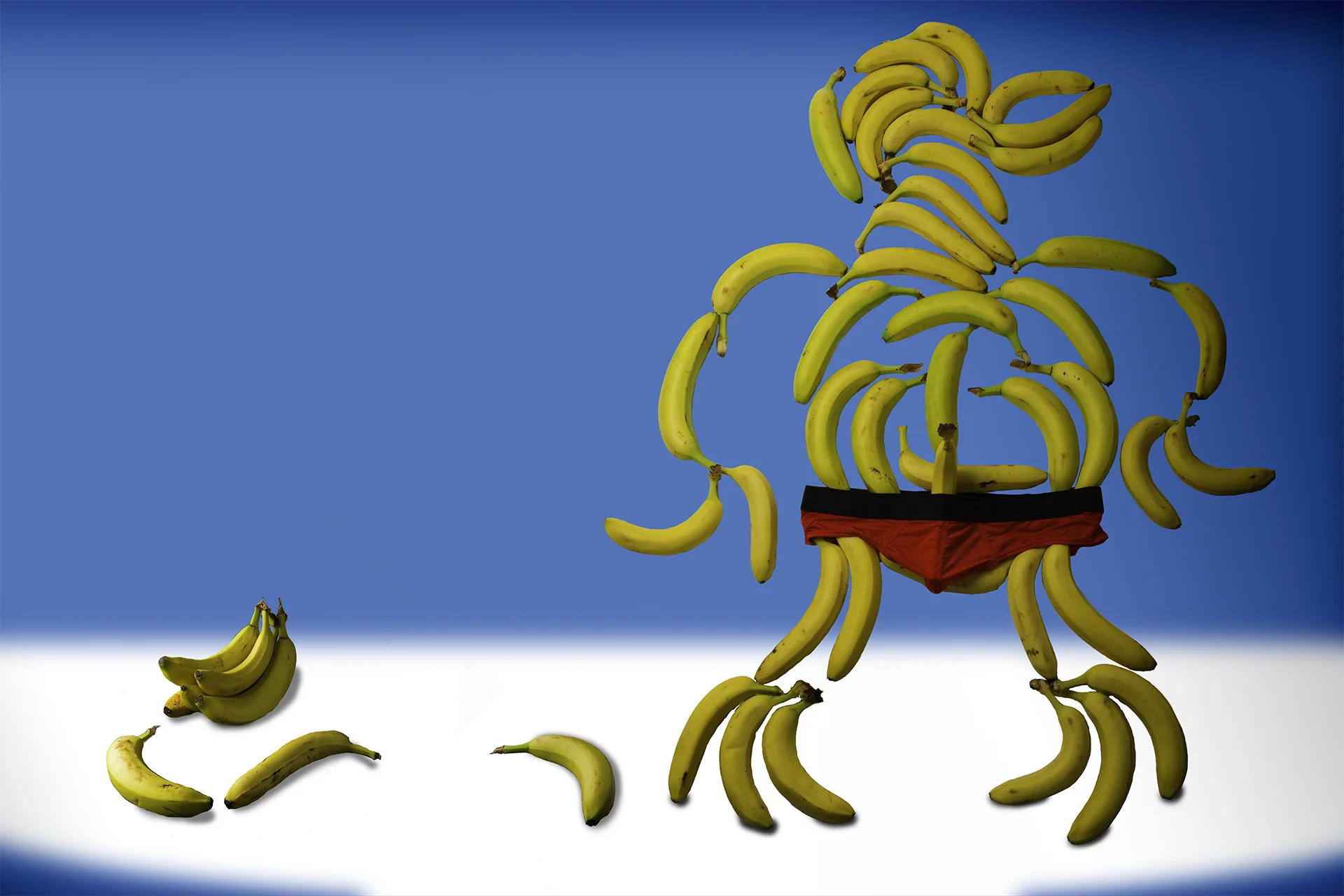 6 - Photo Illustration - Foodimals - 5 - Bananna Hammock.jpg