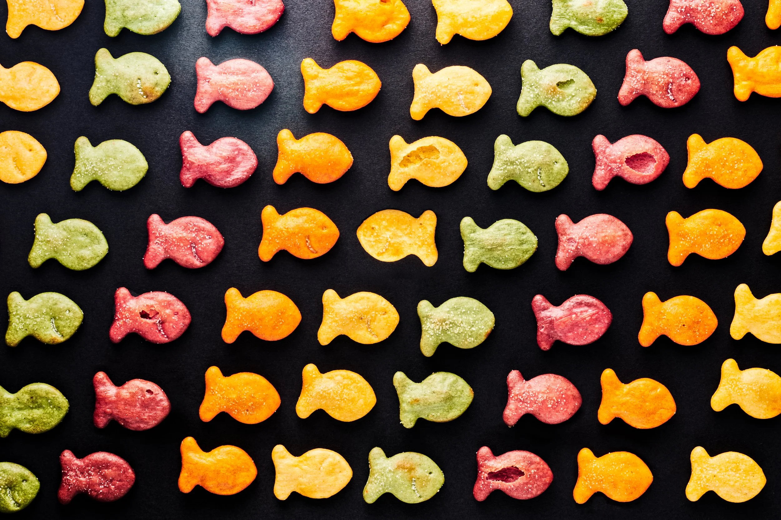 Fishhy.jpg