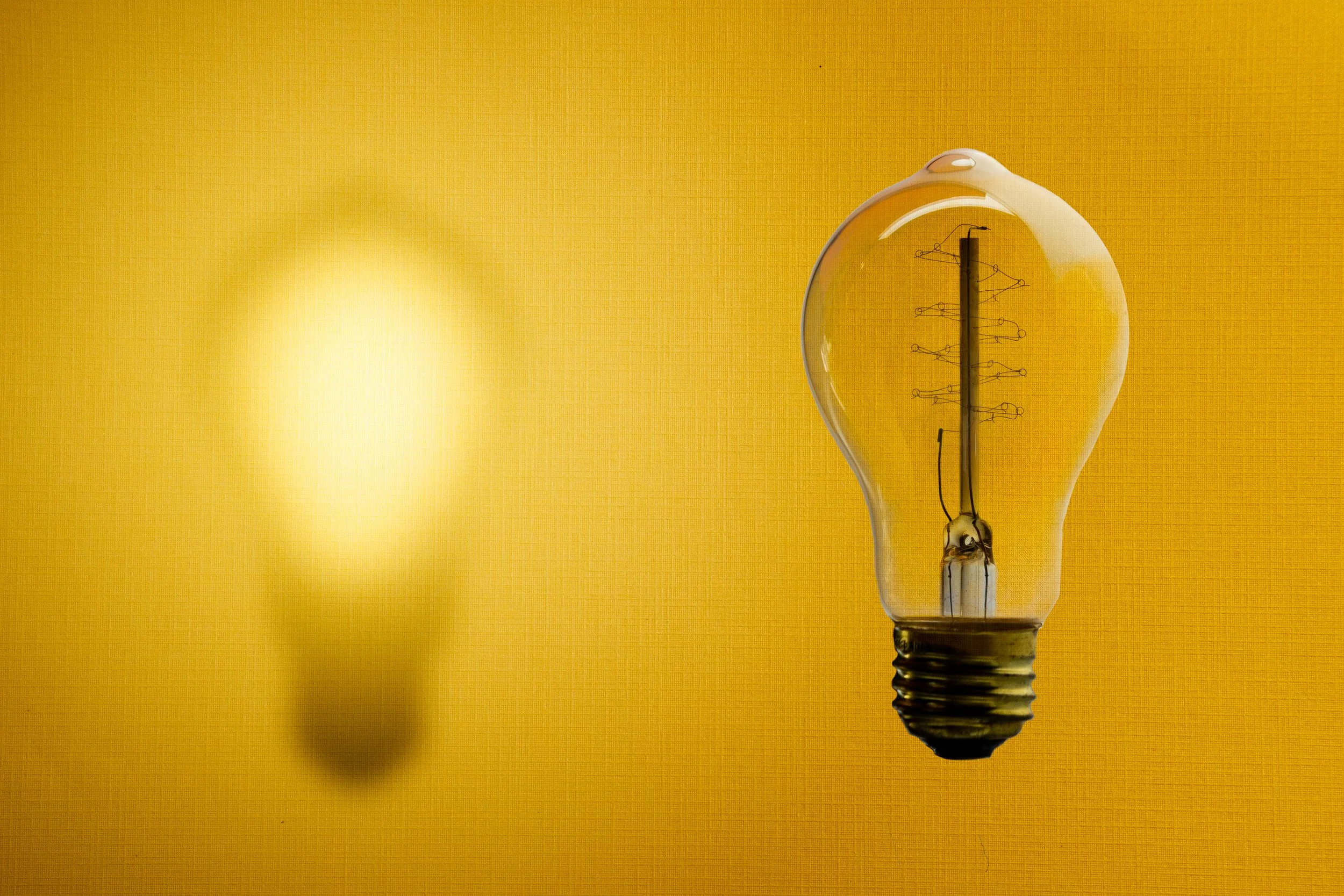 Bulb.jpg