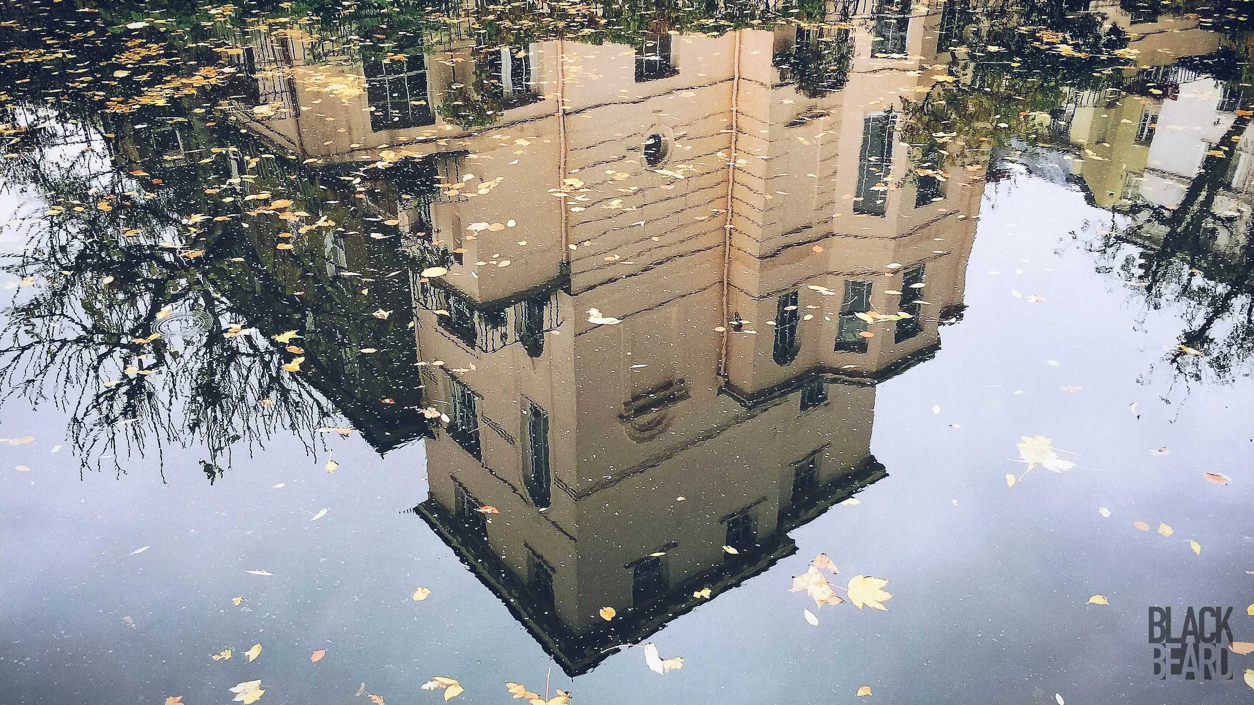 AXNH3412 (1)-1_logo.jpg