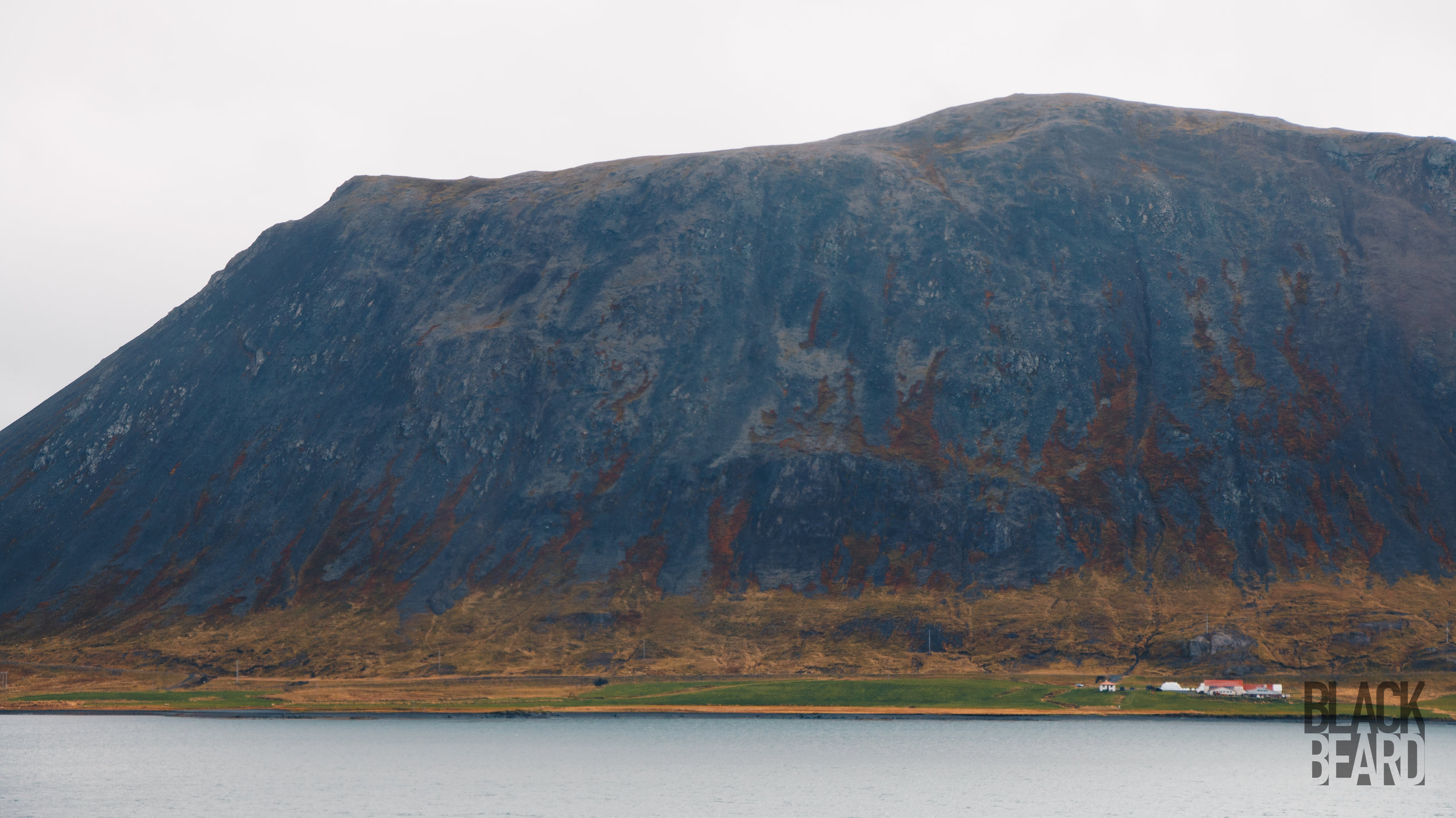 _MG_8775-1-2.jpg