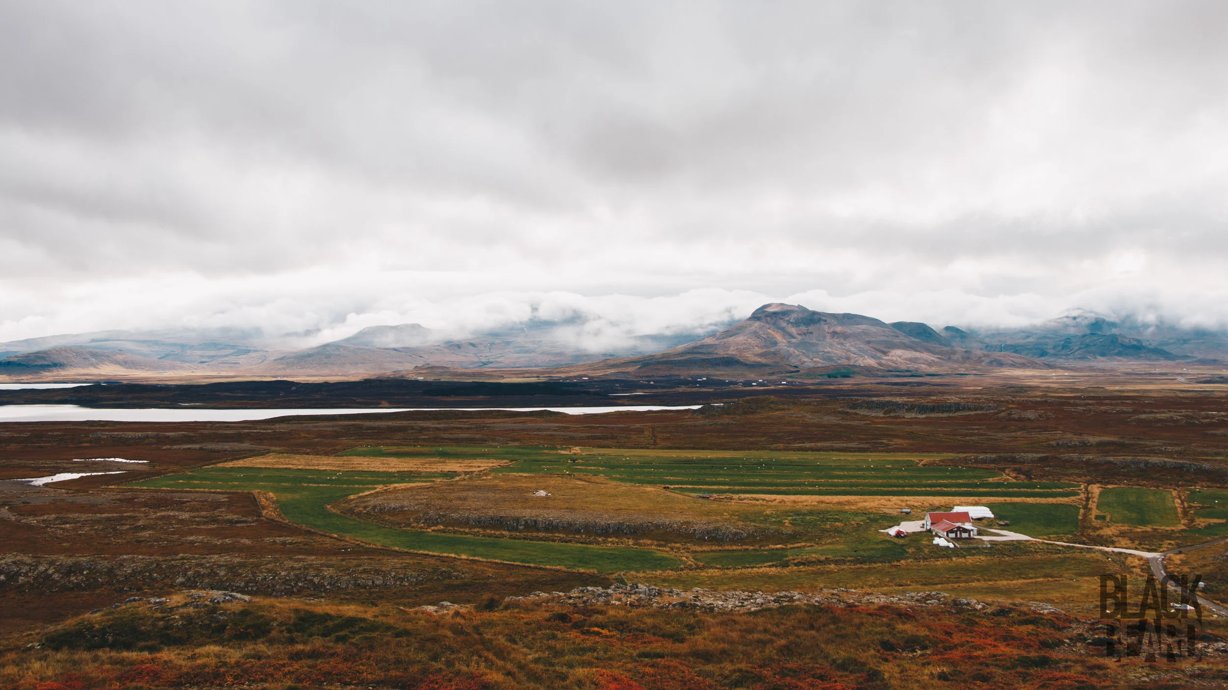 _MG_8888-1-2.jpg