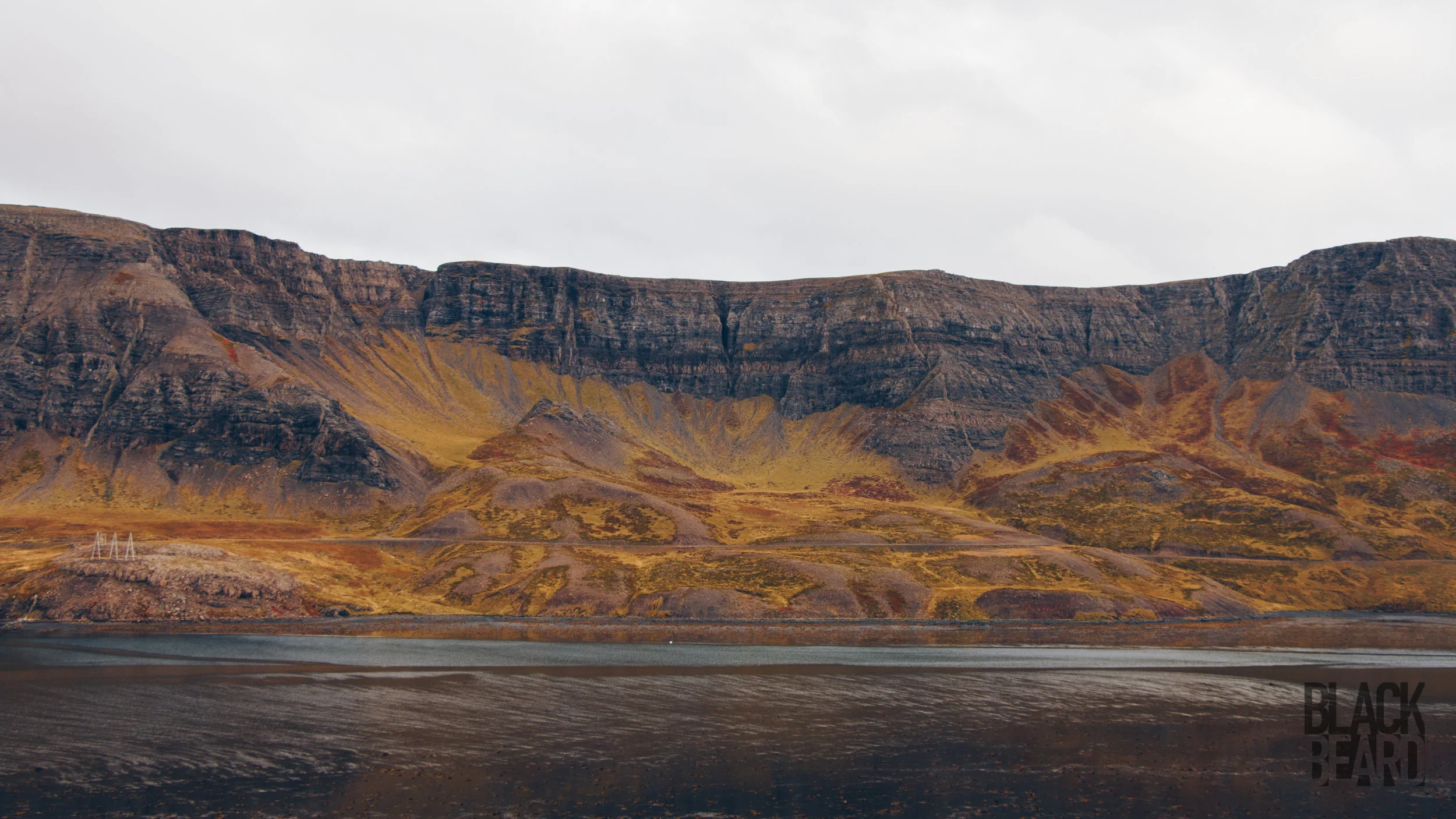 _MG_8918-1-2.jpg